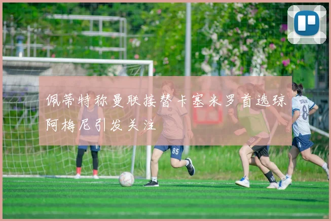 佩蒂特称曼联接替卡塞米罗首选琼阿梅尼引发关注